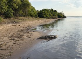 zimbabwe-a-botswana-2026-019.jpg