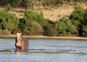 zimbabwe-a-botswana-2026-021.jpg