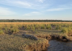 zimbabwe-a-botswana-2026-022.jpg