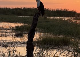 zimbabwe-a-botswana-2026-023.jpg
