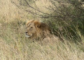 zimbabwe-a-botswana-2026-062.jpg