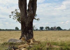 zimbabwe-a-botswana-2026-064.jpg