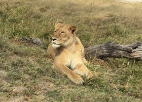 zimbabwe-a-botswana-2026-065.jpg