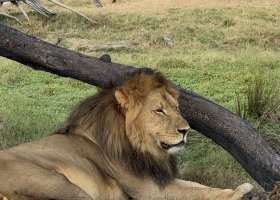 zimbabwe-a-botswana-2026-066.jpg