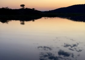 zimbabwe-a-botswana-2026-073.jpg