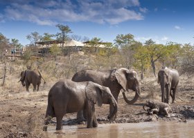 zimbabwe-hotel-elephant-camp-012.jpg