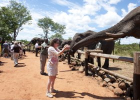 zimbabwe-hotel-elephant-camp-015.jpg