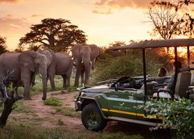 zimbabwe-hotel-victoria-falls-river-lodge-004.jpg