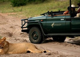 zimbabwe-hotel-victoria-falls-river-lodge-006.jpg