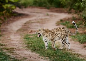 zimbabwe-hotel-victoria-falls-river-lodge-012.jpg