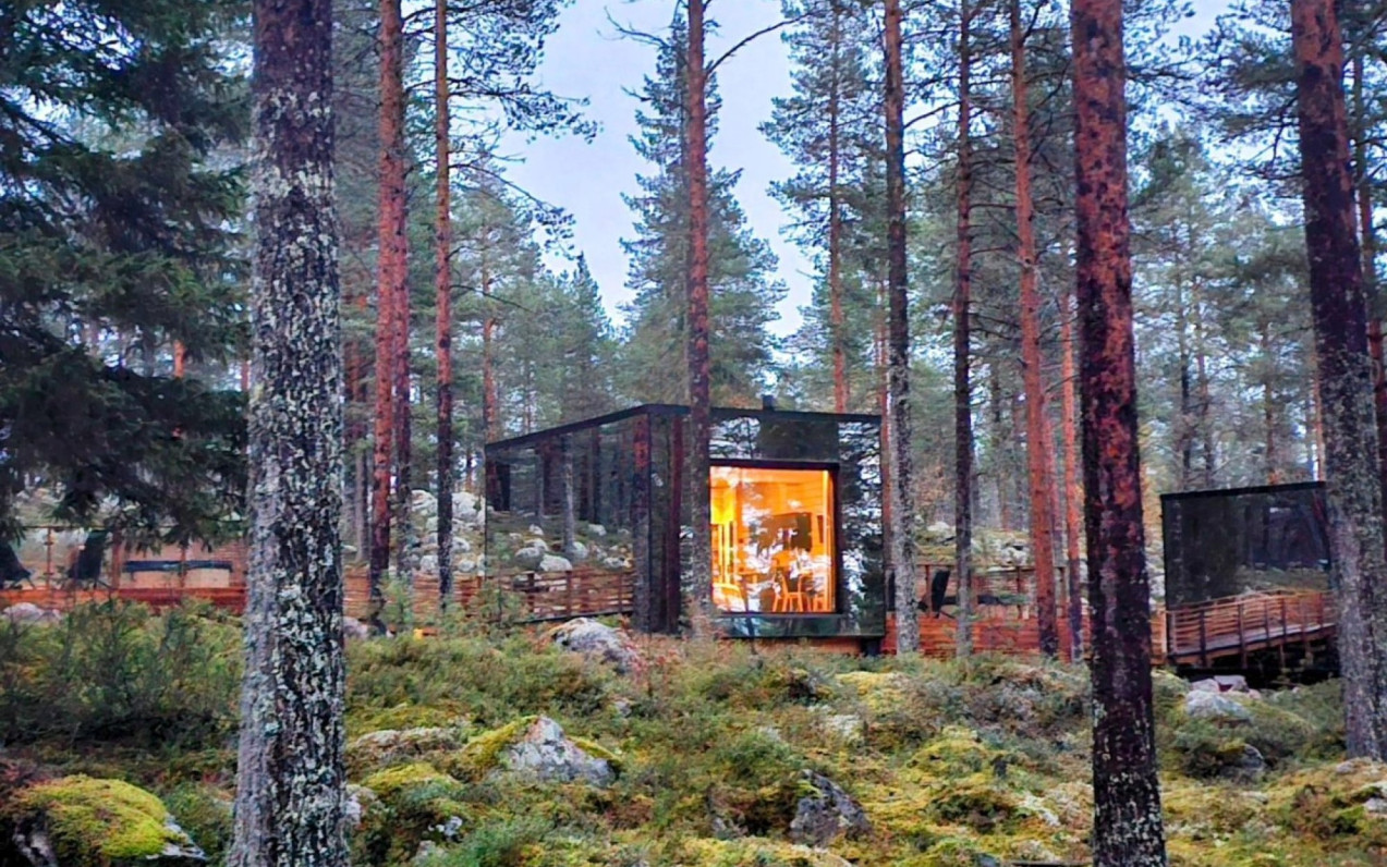 Invisible Forest Lodge