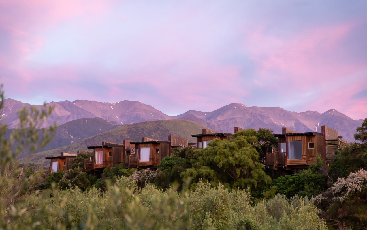 Hapuku Lodge + Tree Houses