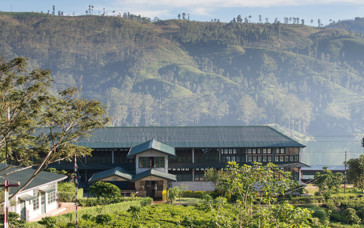 Ceylon Tea Trails