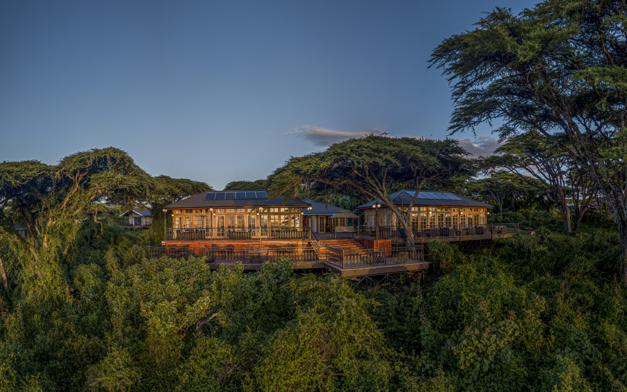 Ngorongoro Lion’s Paw