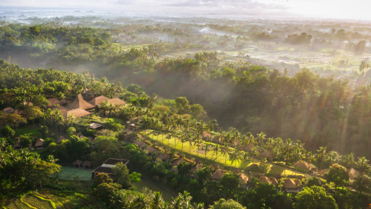 Maya Ubud Resort and Spa *****
