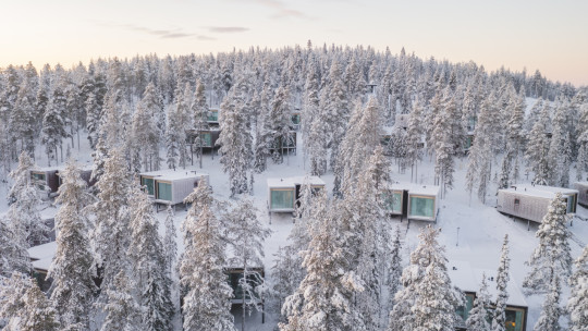 Arctic TreeHouse Hotel