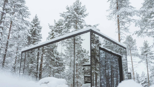 Invisible Forest Lodge