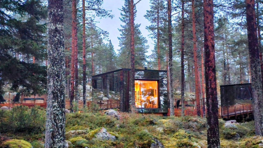 Invisible Forest Lodge *****
