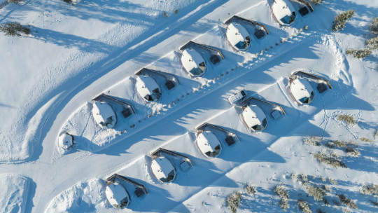 Reindeer Manor Levi *****