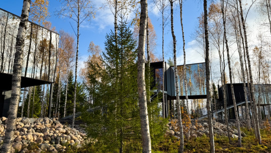 Silver Birch Resort *****