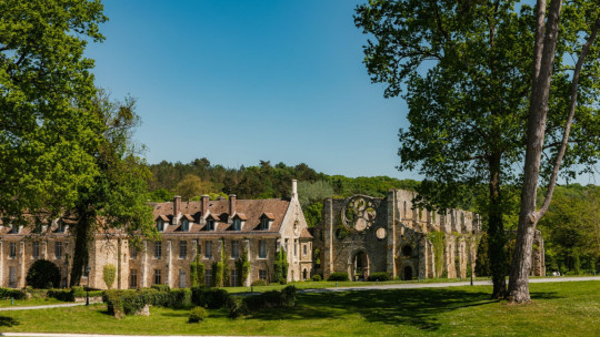 Abbaye des Vaux-de-Cernay *****