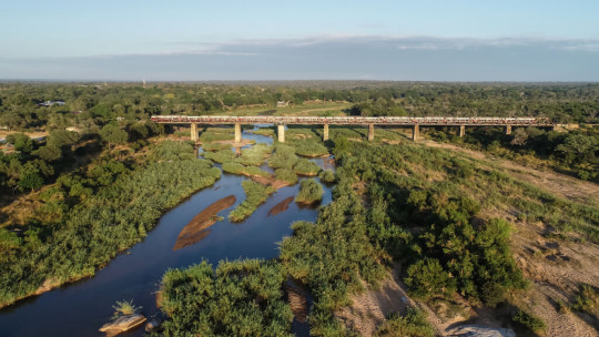 Kruger Shalati the Train on the Bridge *****