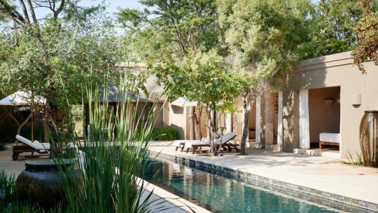 Malewane Lodge *****