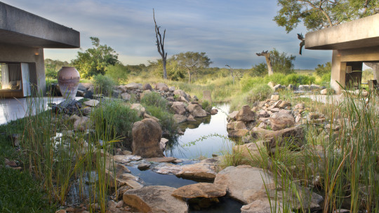 Sabi Sabi Earth Lodge *****
