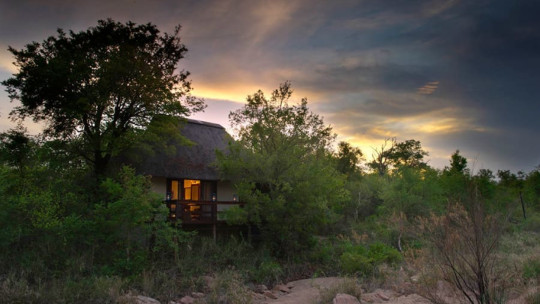 Sabi Sabi Little Bush Camp *****