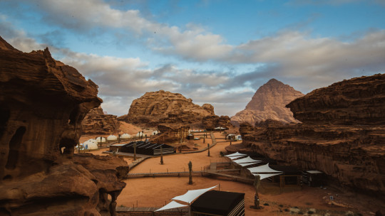 Palmera Camp Wadi Rum *****