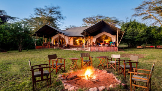 Instinct of the Mara ****