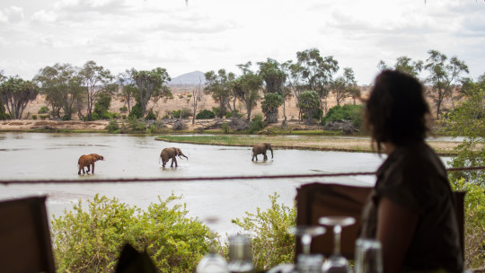 Kudu Safari Camp *****