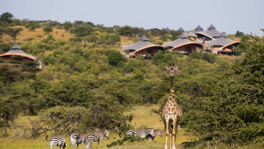 Mahali Mzuri