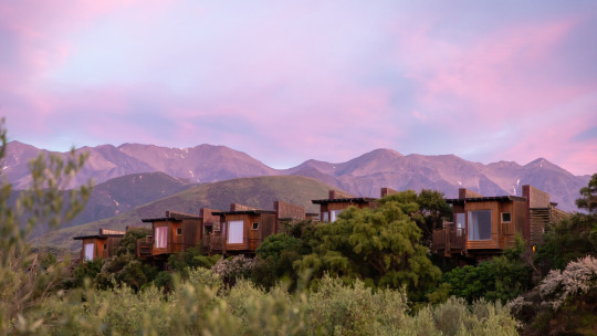 Hapuku Lodge + Tree Houses *****