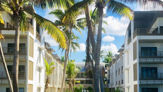 Ness by D-Ocean ****