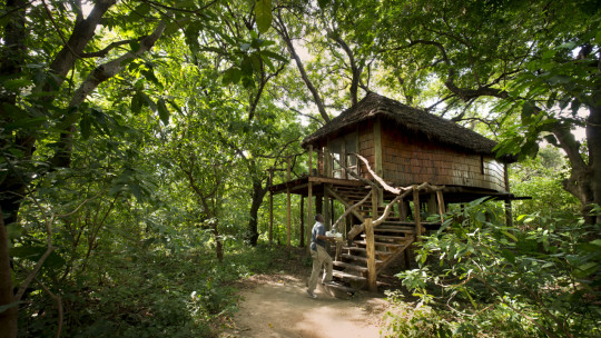 &Beyond Lake Manyara Tree Lodge *****