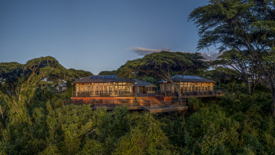 Ngorongoro Lion’s Paw *****