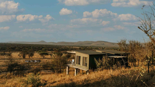 Nimali Serengeti *****