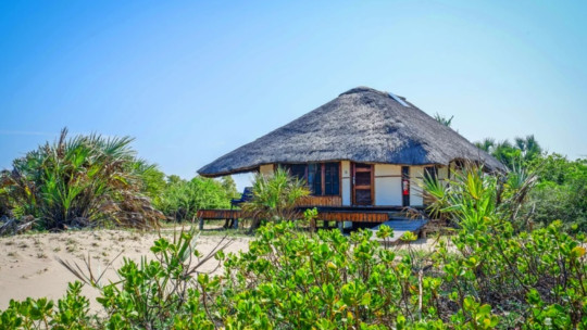 Saadani Safari Lodge *****
