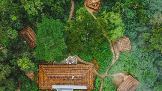 Gorilla Forest Lodge *****