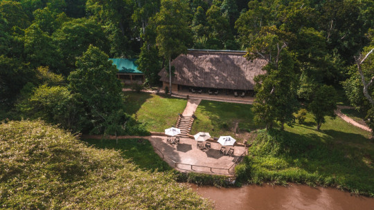 Ishasha Wilderness Camp *****