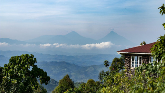Nkuringo Gorilla Lodge