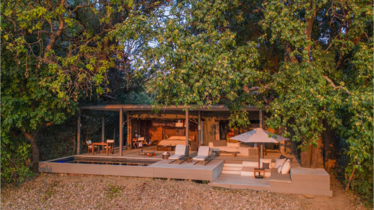 Time + Tide Chinzombo