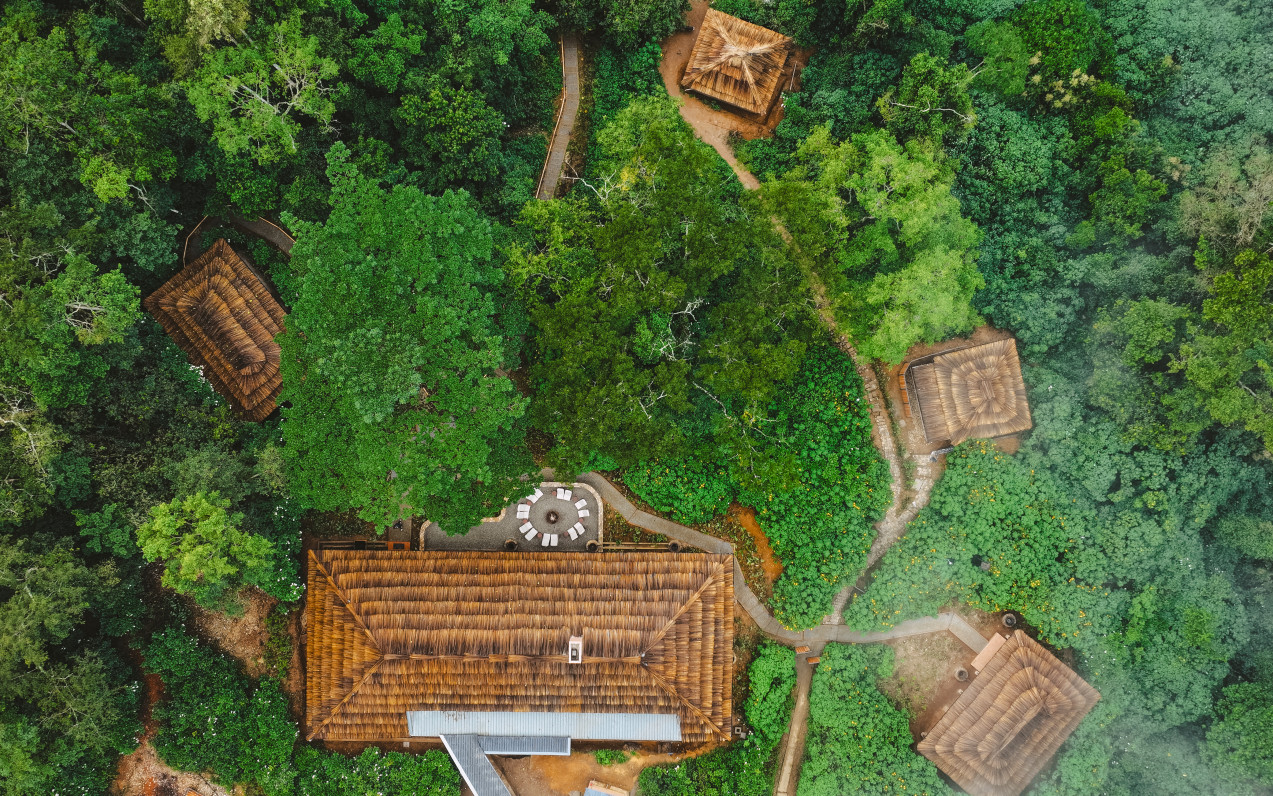 Gorilla Forest Lodge