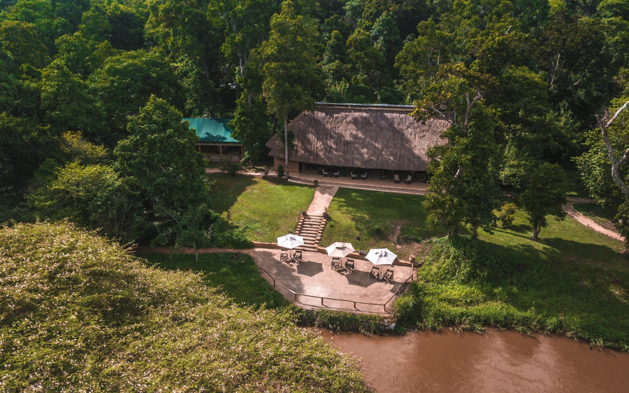 Ishasha Wilderness Camp