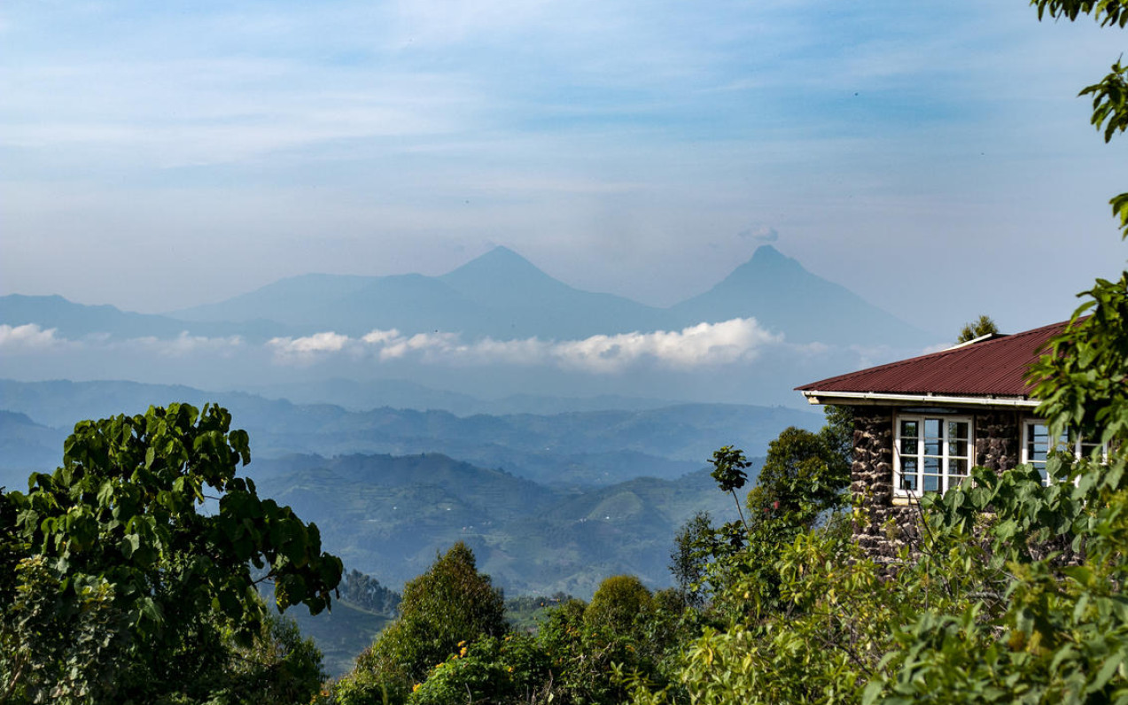 Nkuringo Gorilla Lodge