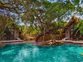 Jungle Cluster Cabin