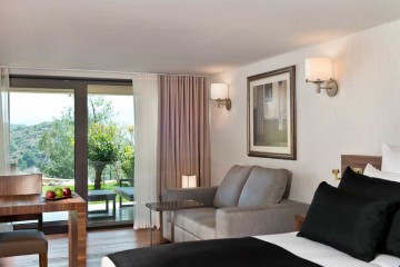 Superior Room Mountain View