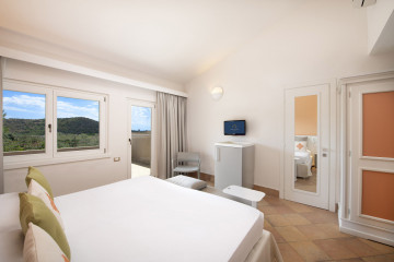 Classic Room/Classic Plus Room