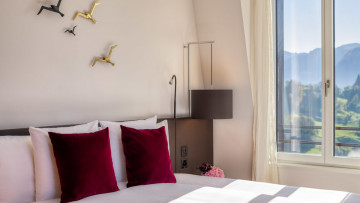 Alpine View Deluxe Room